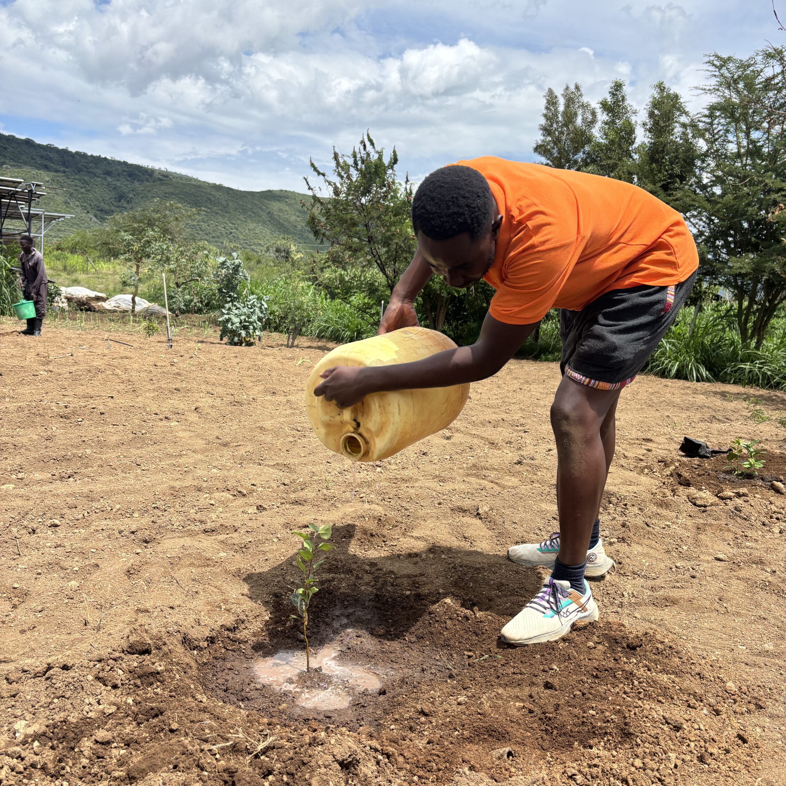Planting and watering a Tree