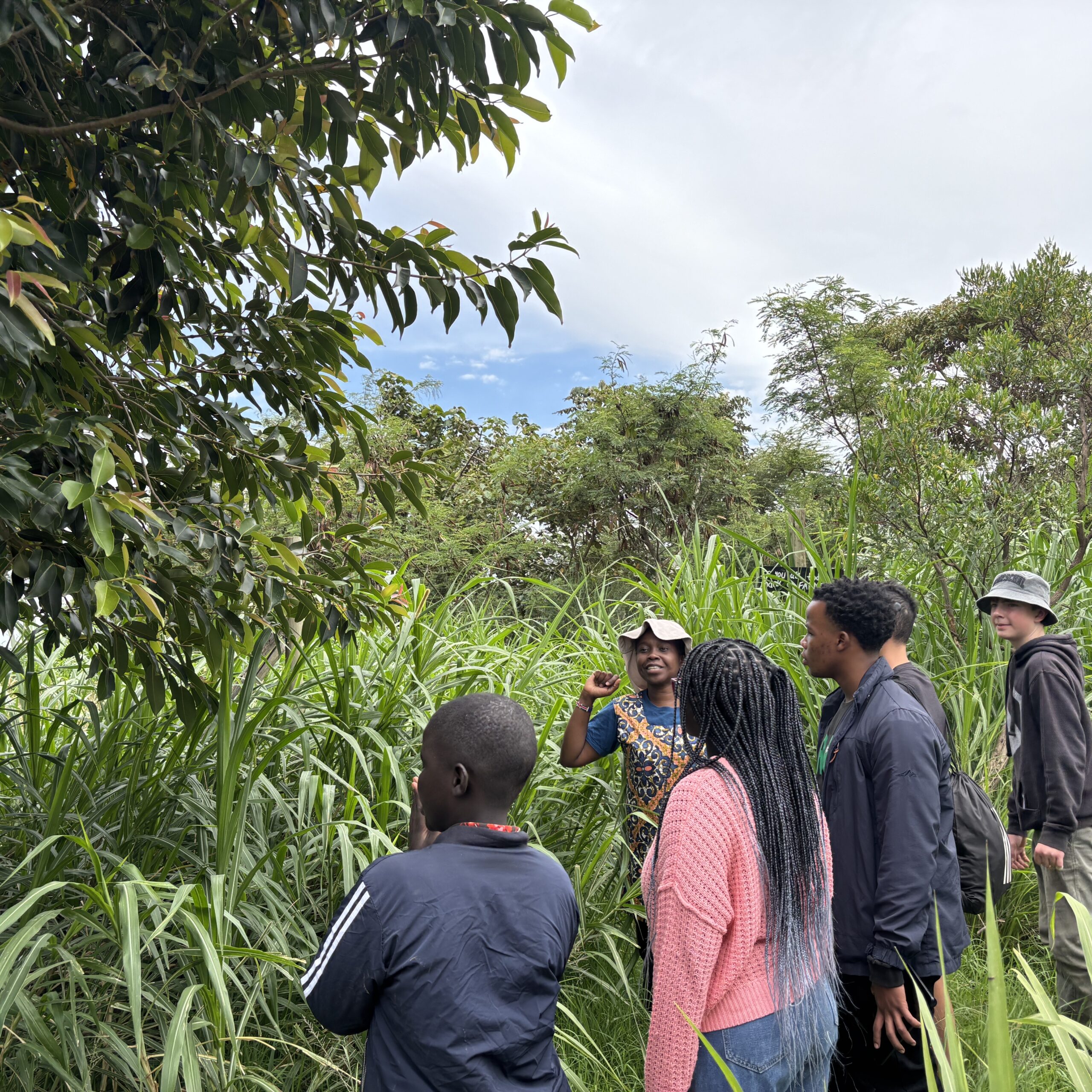 Students enjoying the view of the green nature (Forest to Feast)