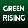 Green rising logo